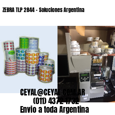 ZEBRA TLP 2844 – Soluciones Argentina