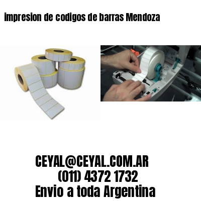 impresion de codigos de barras Mendoza