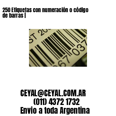 250 Etiquetas con numeración o código de barras |