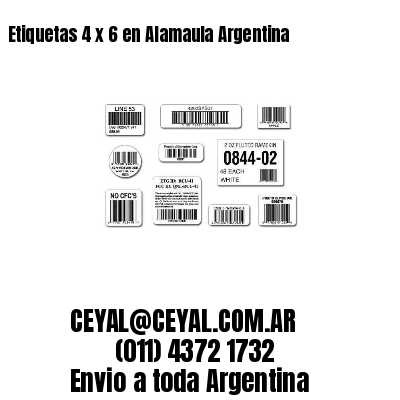 Etiquetas 4 x 6 en Alamaula Argentina