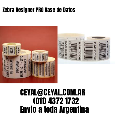 Zebra Designer PRO Base de Datos