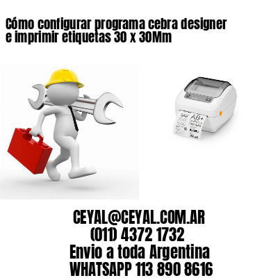 Cómo configurar programa cebra designer e imprimir etiquetas 30 x 30Mm