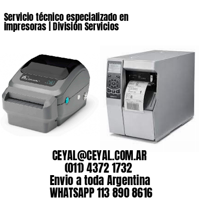 Servicio técnico especializado en impresoras | División Servicios