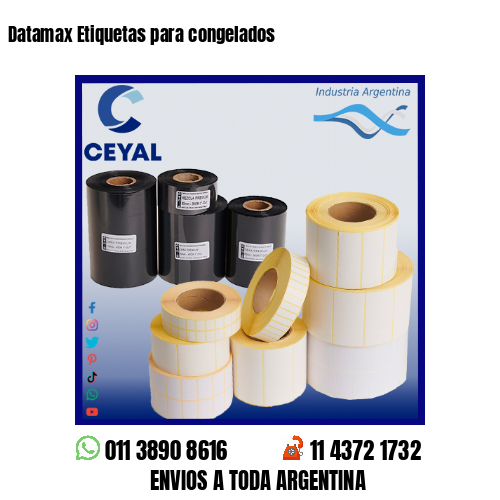 Datamax Etiquetas para congelados