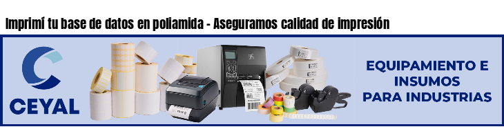 Imprimí tu base de datos en poliamida - Aseguramos calidad de impresión