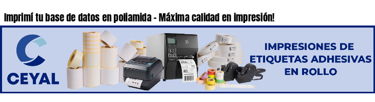 Imprimí tu base de datos en poliamida - Máxima calidad en impresión!