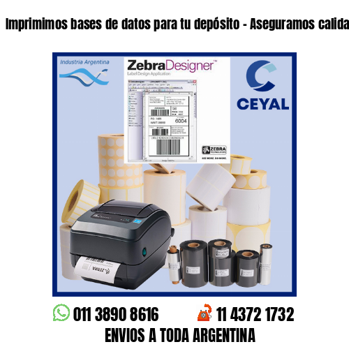 Imprimimos bases de datos para tu depósito – Aseguramos calidad de impresión