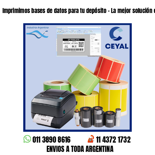 Imprimimos bases de datos para tu depósito – La mejor solución en impresiones