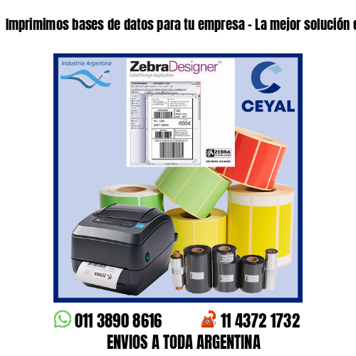 Imprimimos bases de datos para tu empresa – La mejor solución en impresiones