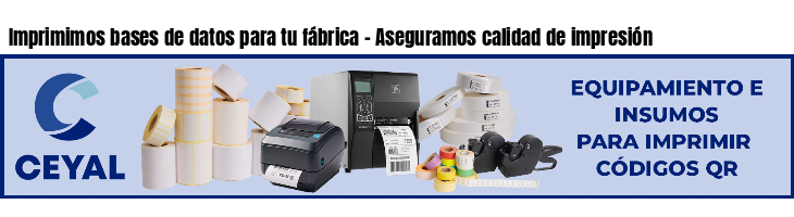 Imprimimos bases de datos para tu fábrica - Aseguramos calidad de impresión