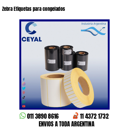 Zebra Etiquetas para congelados