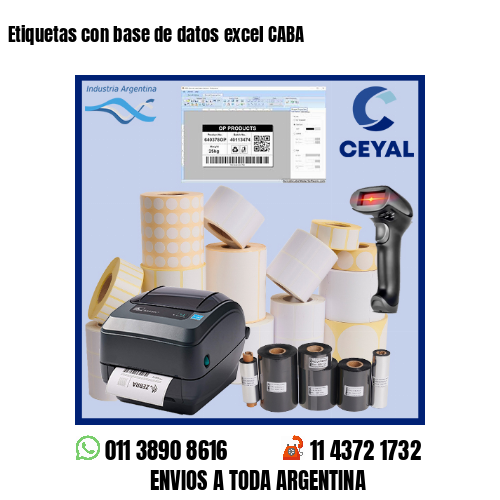 Etiquetas con base de datos excel CABA
