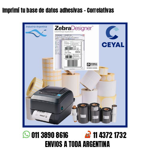 Imprimí tu base de datos adhesivas – Correlativas