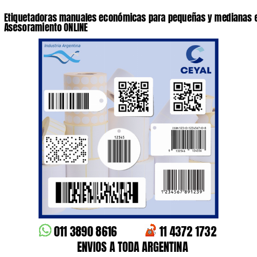 Etiquetadoras manuales económicas para pequeñas y medianas empresas - Asesoramiento ONLINE