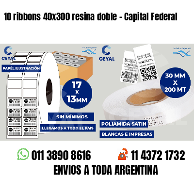 10 ribbons 40x300 resina doble - Capital Federal