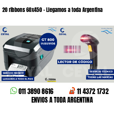 20 ribbons 60x450 - Llegamos a toda Argentina
