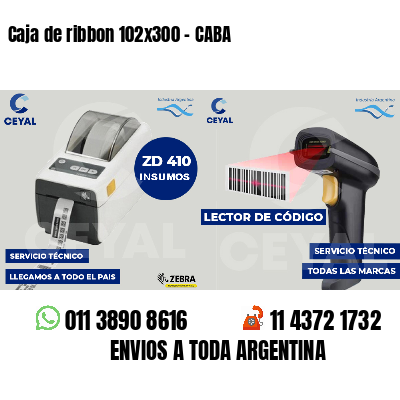 Caja de ribbon 102x300 - CABA