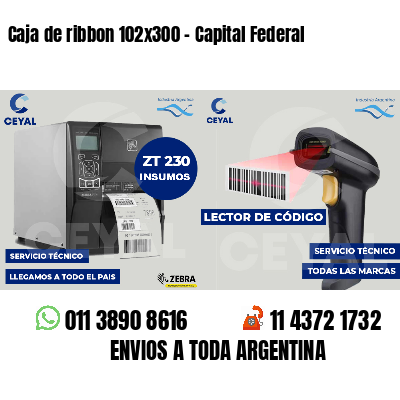 Caja de ribbon 102x300 - Capital Federal