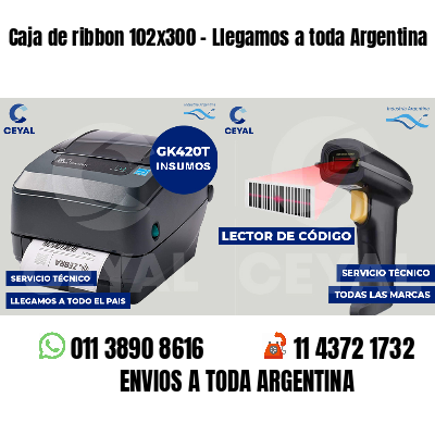 Caja de ribbon 102x300 - Llegamos a toda Argentina