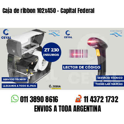 Caja de ribbon 102x450 - Capital Federal