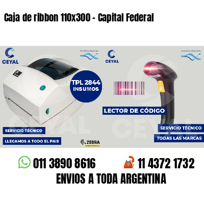 Caja de ribbon 110x300 - Capital Federal