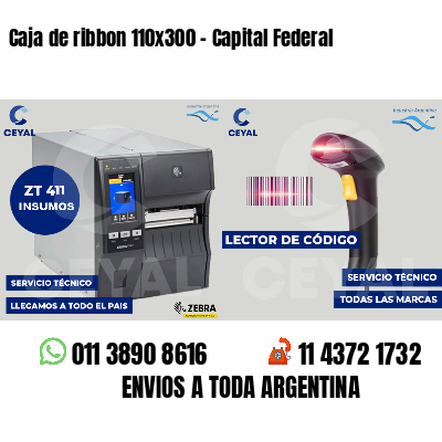 Caja de ribbon 110x300 - Capital Federal