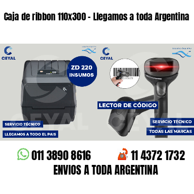 Caja de ribbon 110x300 - Llegamos a toda Argentina
