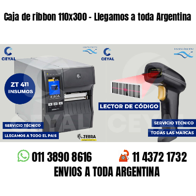 Caja de ribbon 110x300 - Llegamos a toda Argentina