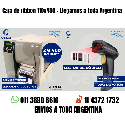 Caja de ribbon 110x450 - Llegamos a toda Argentina
