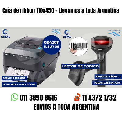 Caja de ribbon 110x450 - Llegamos a toda Argentina