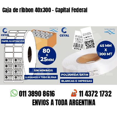Caja de ribbon 40x300 - Capital Federal