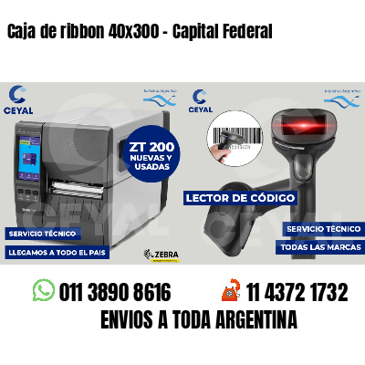 Caja de ribbon 40x300 - Capital Federal
