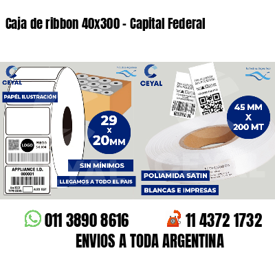 Caja de ribbon 40x300 - Capital Federal