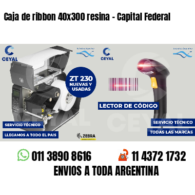 Caja de ribbon 40x300 resina - Capital Federal
