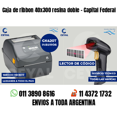 Caja de ribbon 40x300 resina doble - Capital Federal