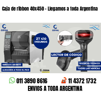Caja de ribbon 40x450 - Llegamos a toda Argentina