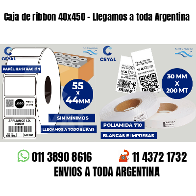 Caja de ribbon 40x450 - Llegamos a toda Argentina