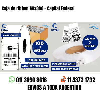 Caja de ribbon 60x300 - Capital Federal