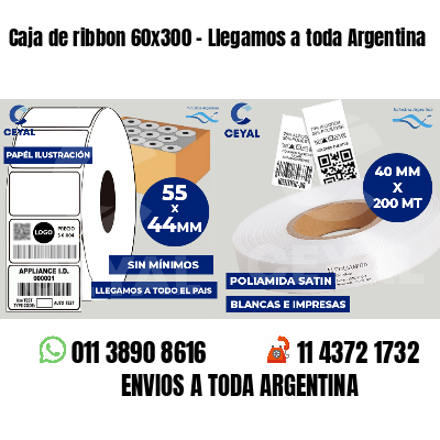 Caja de ribbon 60x300 - Llegamos a toda Argentina