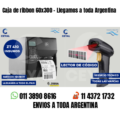 Caja de ribbon 60x300 - Llegamos a toda Argentina