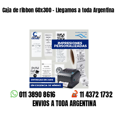 Caja de ribbon 60x300 - Llegamos a toda Argentina