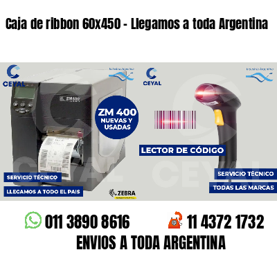 Caja de ribbon 60x450 - Llegamos a toda Argentina