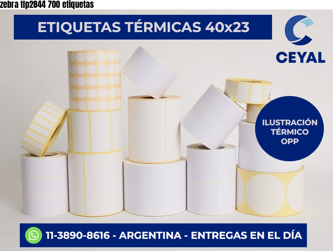 zebra tlp2844 700 etiquetas
