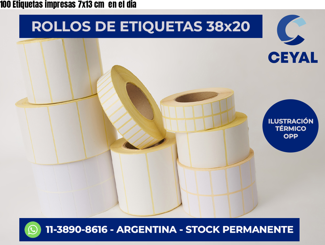 100 Etiquetas impresas 7×13 cm  en el dia