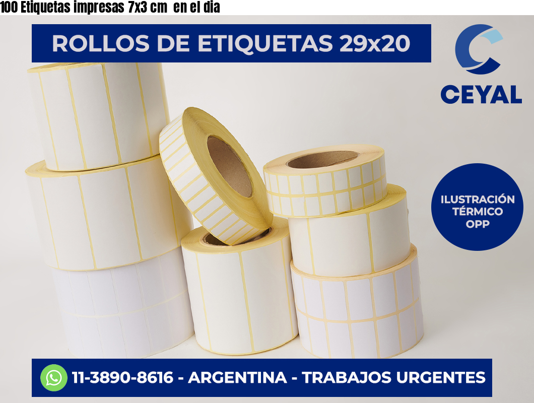 100 Etiquetas impresas 7×3 cm  en el dia