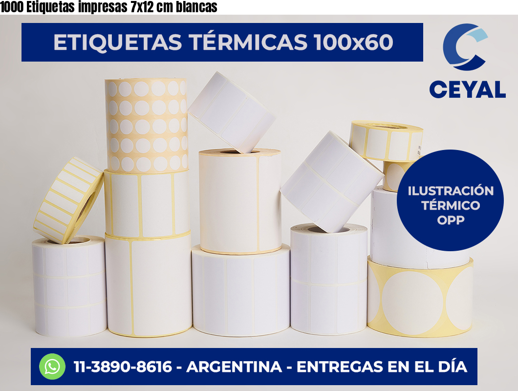 1000 Etiquetas impresas 7×12 cm blancas