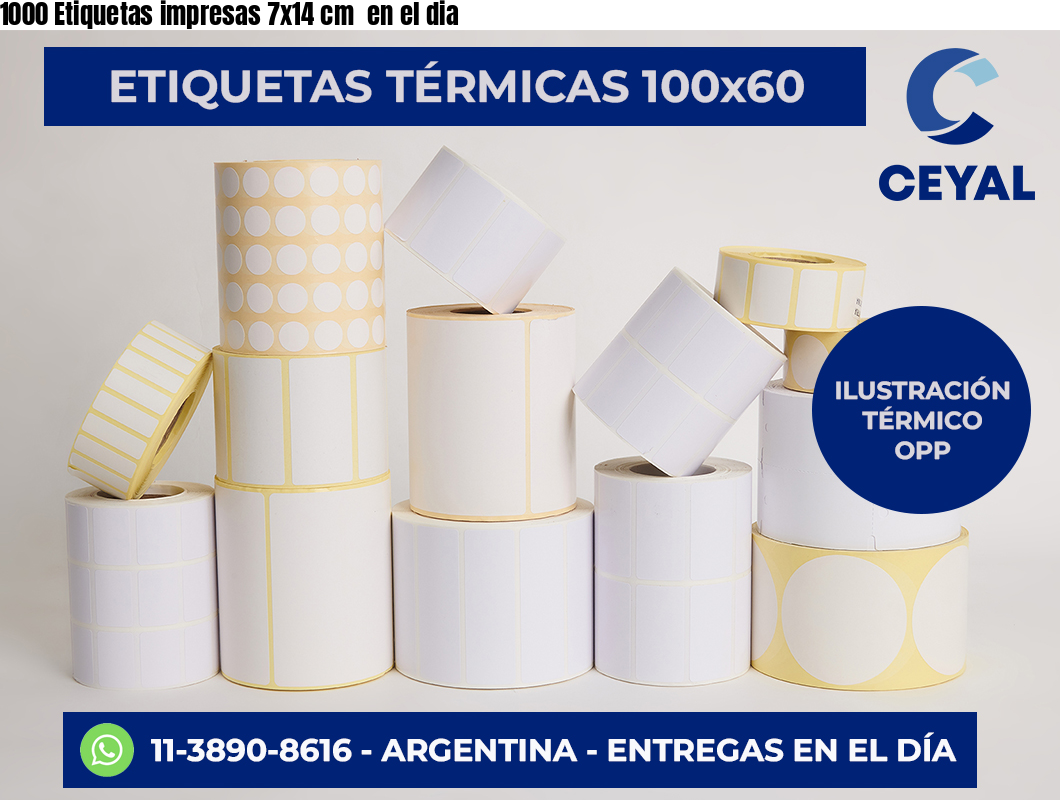 1000 Etiquetas impresas 7×14 cm  en el dia