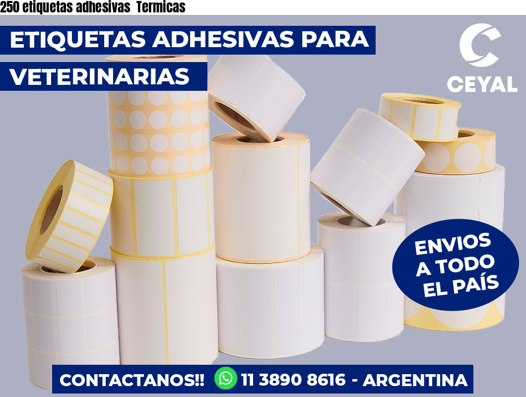 250 etiquetas adhesivas  Termicas