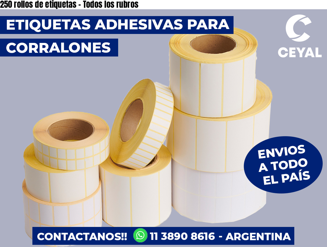 250 rollos de etiquetas – Todos los rubros