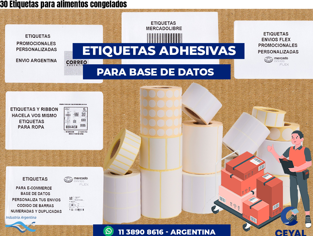 30 Etiquetas para alimentos congelados